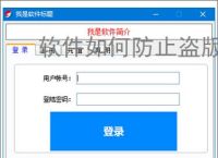 软件如何防止盗版？7大实用防护策略