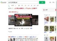 眼镜蛇进院被狗狗提醒_360搜索