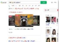 小浣熊出逃50多天后车祸受伤_360搜索