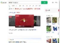 蜘蛛背上花纹酷似人脸_360搜索