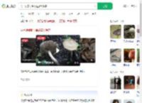 男子误食野生毒蘑菇致肾衰_360搜索