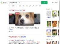 母亲立遗嘱给宠物狗十几万_360搜索