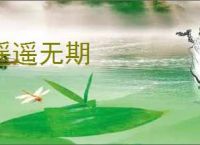 张若昀伦敦撒狗粮，任嘉伦告白妻子，红了不忘本的男星个个深情|谢娜|张杰|唐艺昕|薛之谦_网易订阅