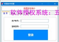软件授权系统：五大核心方案保障软件安全与版权