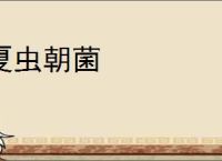 那英和老公逛街，手上戴俩金镯看着也就30多，和孟桐不像是同龄人|甜蜜_网易订阅