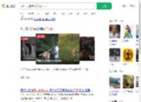 武汉一只狗练出神入化棍法_360搜索