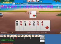 途游斗地主 3 人跑得快电脑记牌器