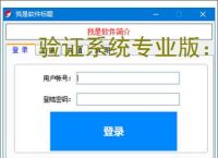 验证系统专业版：多维度软件防护方案解析