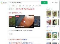 村民干活遭大型猫科动物袭击_360搜索