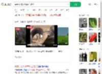 踩到打架的竹叶青和五步蛇_360搜索