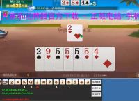 大家乐记牌器官方下载 - 正版电脑/手机通用丨智能算牌 胜率分析丨支持100 棋牌游戏