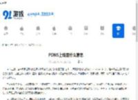 PDNS上线是什么意思 - 91手游网