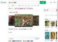 小猫误入虎园被捕食_360搜索