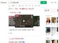 女子在公园附近放生蟑螂_360搜索