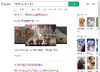 流浪狗乞食生小狗托付老板_360搜索