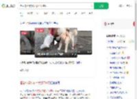 酒后将2只狗从21楼扔下摔死_360搜索