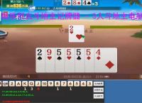 微乐刨幺斗地主记牌器 - 3人斗地主电脑版智能辅助工具，助你轻松赢牌