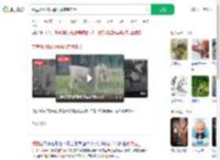 秦皇岛动物园遇猛虎惊魂实录_360搜索