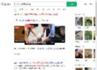 穿山甲误入闹市店主报警_360搜索