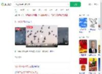 8万羽和平鸽飞向天空_360搜索