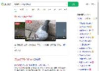 阅兵鸽子不可能飞到贵州_360搜索