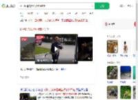 扬子鳄追击黑鱼被意外钓起_360搜索