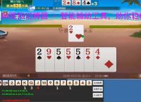 QQ双扣记牌器 - 智能辅助工具，助你轻松赢牌