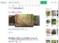 动物园工作人员被狮群咬死_360搜索