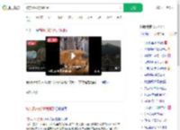 被东风5C烧饼馋到了_360搜索