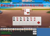 哥哥跑得快 3 人跑得快电脑记牌器