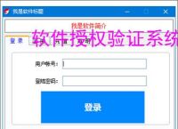 软件授权验证系统开发指南：关键技术与实现方案