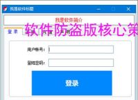 软件防盗版核心策略：五大防护技术解析