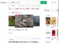 天天下雨鞋带上长出了绿芽_360搜索