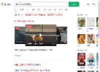 柯基误上高架桥交警护送_360搜索