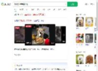 宠物狗坐宝宝椅吃饭_360搜索