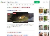 夜遇野生东北虎大喊：本地的_360搜索