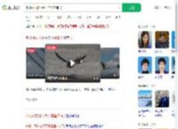 东北网友拍下燕子滞留未南飞_360搜索