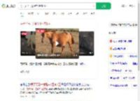 男子买马一觉醒来1匹变2匹_360搜索