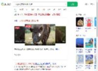 一风景区游客投喂多只野猪_360搜索