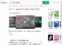 气象台回应绥化突降冰雹_360搜索