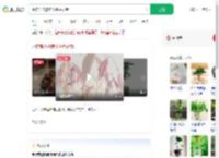 水培荔枝核养出粉色盆栽_360搜索