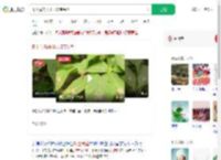 树上竟然开出了珠宝吊坠_360搜索