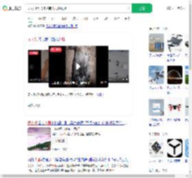 无人机黑飞撞落南飞大雁致死_360搜索