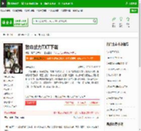 致命武力TXT下载_致命武力下载_全本小说网(笔趣阁)