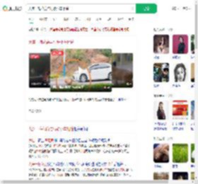 大连一梅花鹿与行驶小车相撞_360搜索