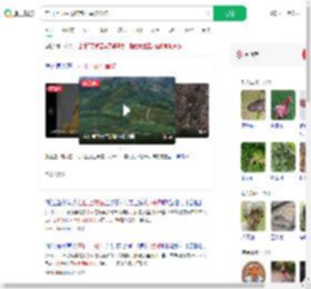 在山上放生毒蛇有村民被咬伤_360搜索