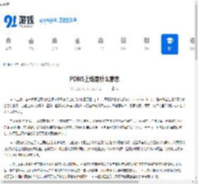 PDNS上线是什么意思 - 91手游网