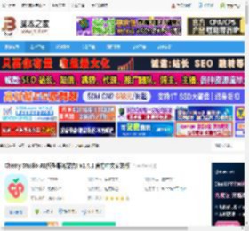 Cherry Studio下载 Cherry Studio AI(模型服务聚合) v1.4.1 官方中文安装版 下载-脚本之家