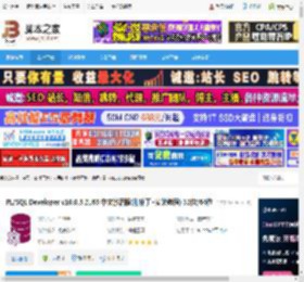 PLSQL Developer下载 PL/SQL Developer v16.0.5.2165 中文激活版(附补丁 安装教程) 32位/64位 下载-脚本之家