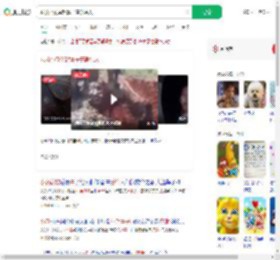 获救小象举起鼻子感谢恩人_360搜索